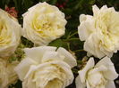 P1290444