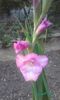 20160623_202440