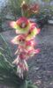 20160623_202455