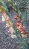 20160623_202501
