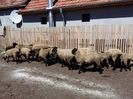 20160616_154723[1]