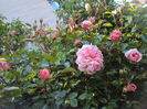 DSC01200