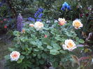 DSC01372