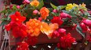 WP_20160624_14_24_34_Pro