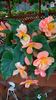 WP_20160624_14_25_16_Pro