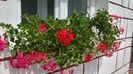 WP_20160624_14_30_39_Pro
