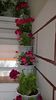 WP_20160624_14_30_19_Pro