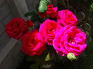 DSC01839