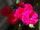 DSC01840