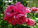DSC01968