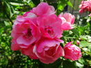 DSC01969