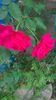 WP_20160623_18_12_45_Pro