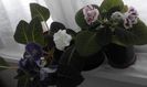 20160624_134331