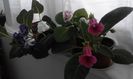 20160624_134430