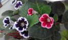 20160624_134515