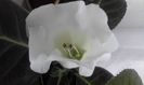 20160624_135031