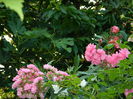 DSCN0951