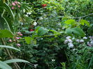 DSCN0959