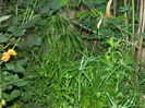 DSCN0961