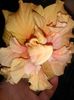 IMG_20160624_152617