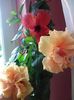 IMG_20160624_152316