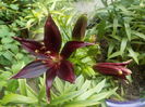 DSCN0317[1]