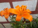 DSCN0319[1]