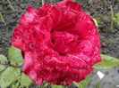 IMG_20160613_165307