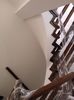 WP_004302