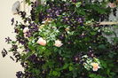 Abraham DArby si Romantika