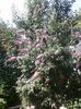 20160625_171620