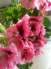 20160623_091418