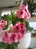 20160623_091423