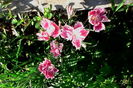 IMG_20160626_083547