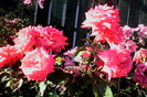 IMG_20160626_083442