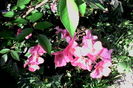 IMG_20160626_083428