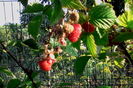 IMG_20160626_083016