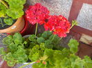 DSCN0351[1]