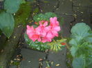 DSCN0373[1]