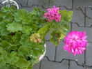 DSCN0375[1]