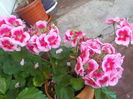 DSCN0376[1]