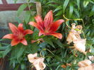 DSCN0345[1]
