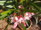 DSCN0350[1]