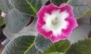 20160626_100416