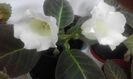 20160626_100506