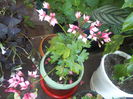 DSCN0377[1]