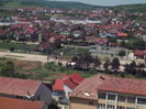 flori 1166