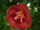 P1270656