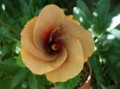P1270657
