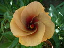 P1270658